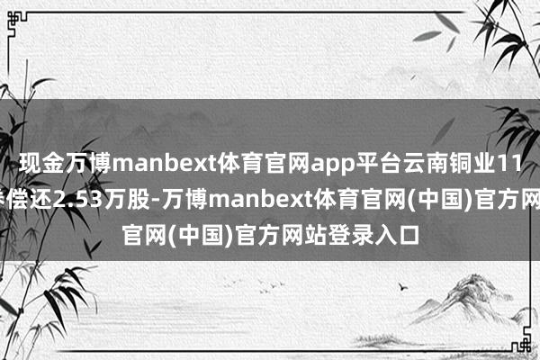 现金万博manbext体育官网app平台云南铜业11月25日融券偿还2.53万股-万博manbext体育官网(中国)官方网站登录入口