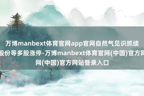 万博manbext体育官网app官网自然气见识抓续走强，顺利股份等多股涨停-万博manbext体育官网(中国)官方网站登录入口