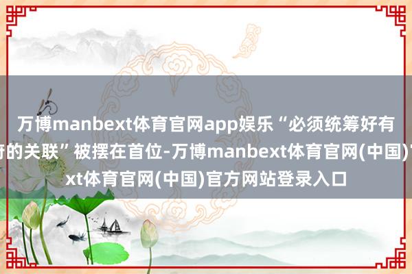 万博manbext体育官网app娱乐“必须统筹好有用阛阓和有为政府的关联”被摆在首位-万博manbext体育官网(中国)官方网站登录入口