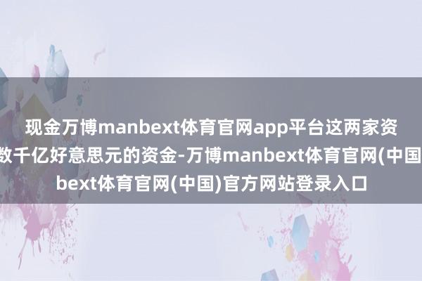 现金万博manbext体育官网app平台这两家资管巨头王人措置着数千亿好意思元的资金-万博manbext体育官网(中国)官方网站登录入口