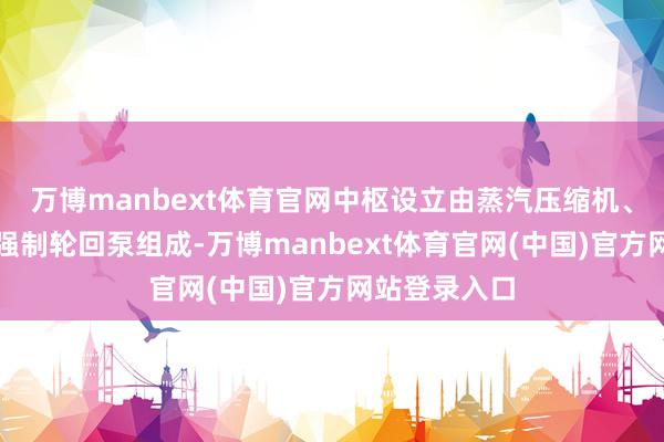 万博manbext体育官网中枢设立由蒸汽压缩机、挥发器以及强制轮回泵组成-万博manbext体育官网(中国)官方网站登录入口