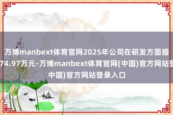 万博manbext体育官网2025年公司在研发方面插足了3374.97万元-万博manbext体育官网(中国)官方网站登录入口