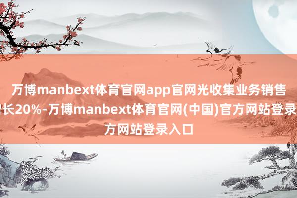 万博manbext体育官网app官网光收集业务销售额增长20%-万博manbext体育官网(中国)官方网站登录入口
