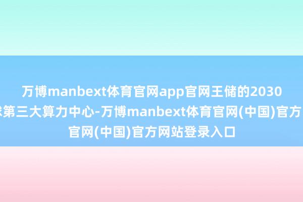 万博manbext体育官网app官网王储的2030愿景剑指环球第三大算力中心-万博manbext体育官网(中国)官方网站登录入口