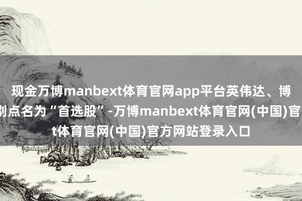 现金万博manbext体育官网app平台英伟达、博通和AMD被特别点名为“首选股”-万博manbext体育官网(中国)官方网站登录入口